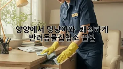 양양에서 멍냥이와 🏡✨ 쾌적하게! #반려동물집청소 꿀팁