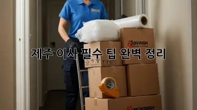 제주 이사, 필수 팁 완벽 정리!