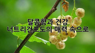 달콤함과 건강, 너트리건포도의 매력 속으로!